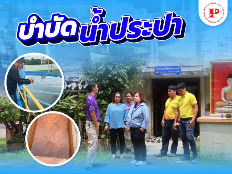 การบำบัดน้ำประปา