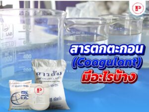 สารตกตะกอน มีอะไรบ้าง