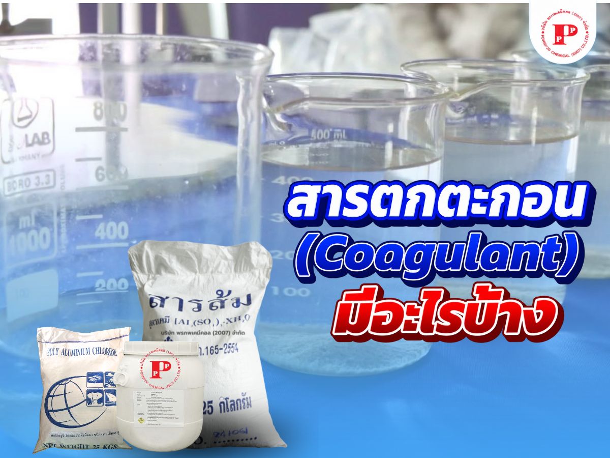 สารตกตะกอน มีอะไรบ้าง